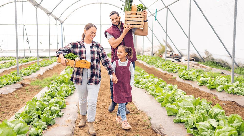 how to start a farm