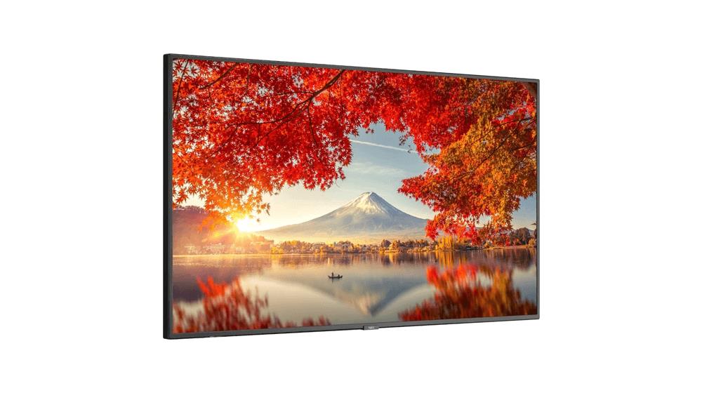 NEC MA551 MultiSync - 55 inch Diagonal Class MA Series LED-Backlit LCD Display