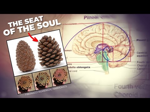 Once Opened, Your Third Eye Will NEVER Close! ANCIENT ACTIVATION METHOD