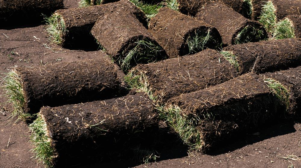 sod farming