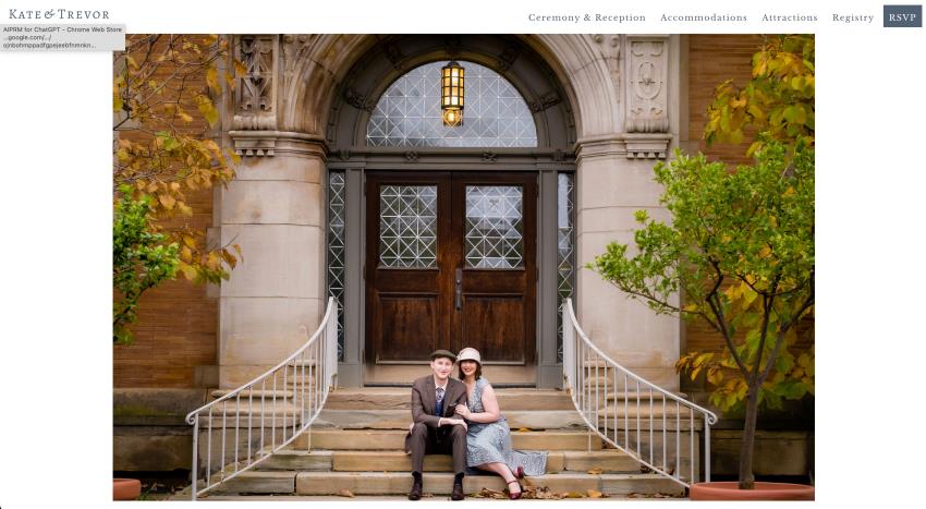 wedding website examples