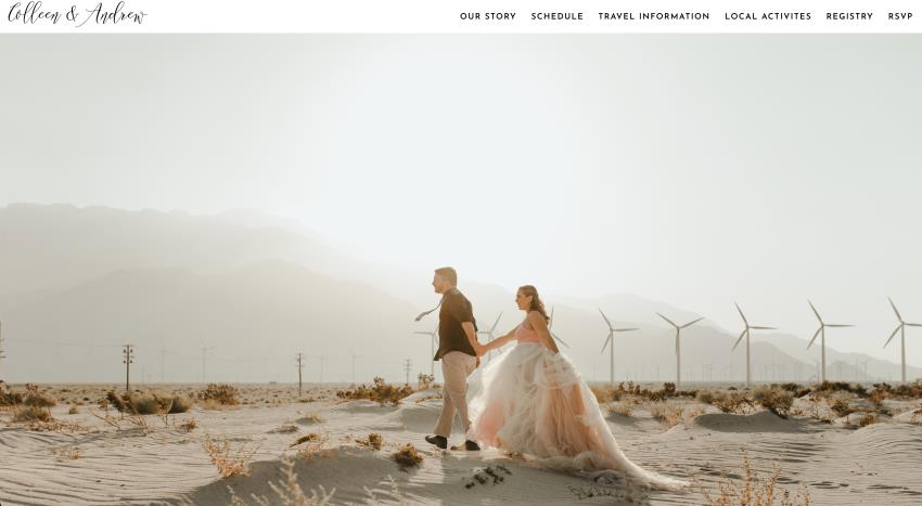 wedding website examples