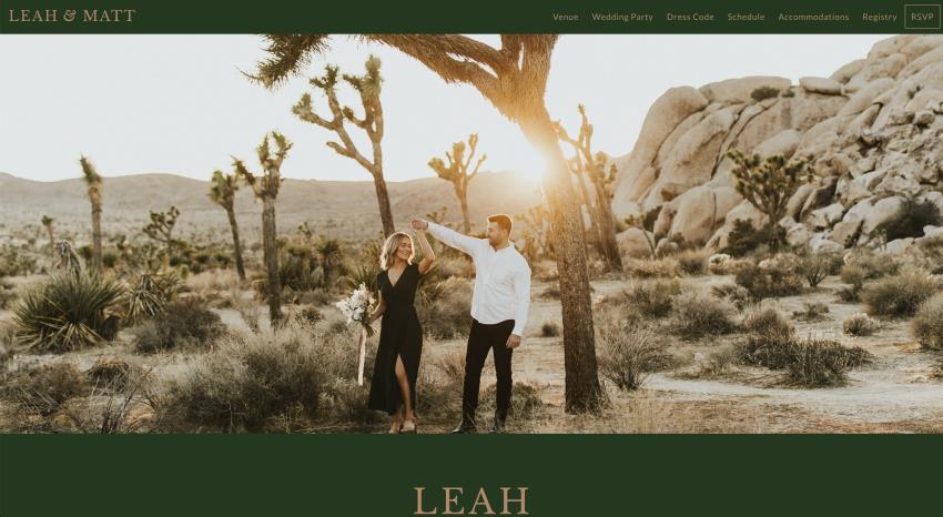 wedding website examples