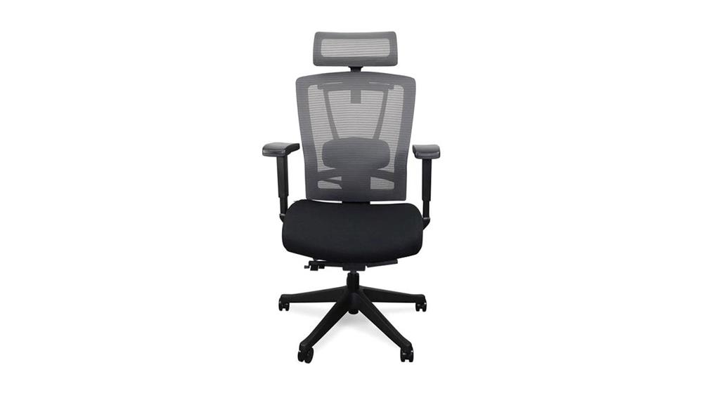 Autonomous ErgoChair - Premium Ergonomic Office Chair