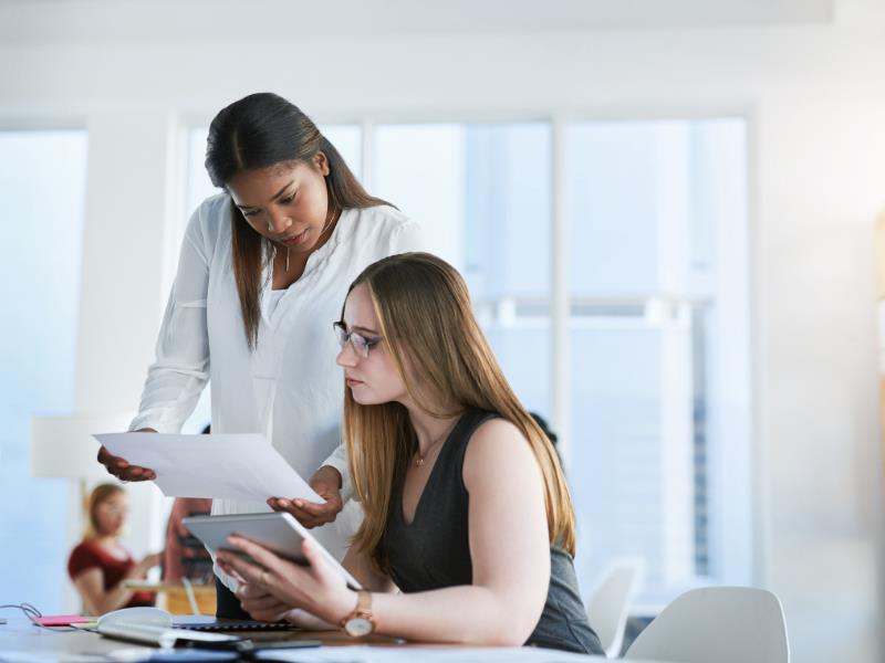 translation services