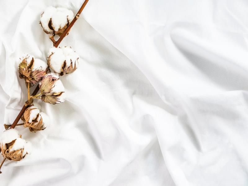 tshirt wholesaler cotton plants on fabric