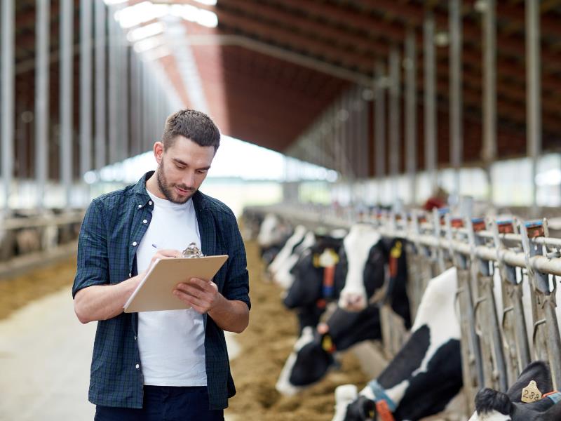 dairy farm