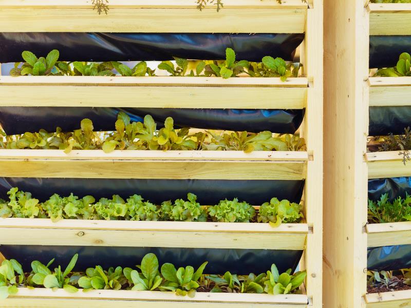 What is Urban Farming and is it Profitable?