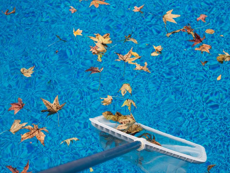 Pool Cleaning Business