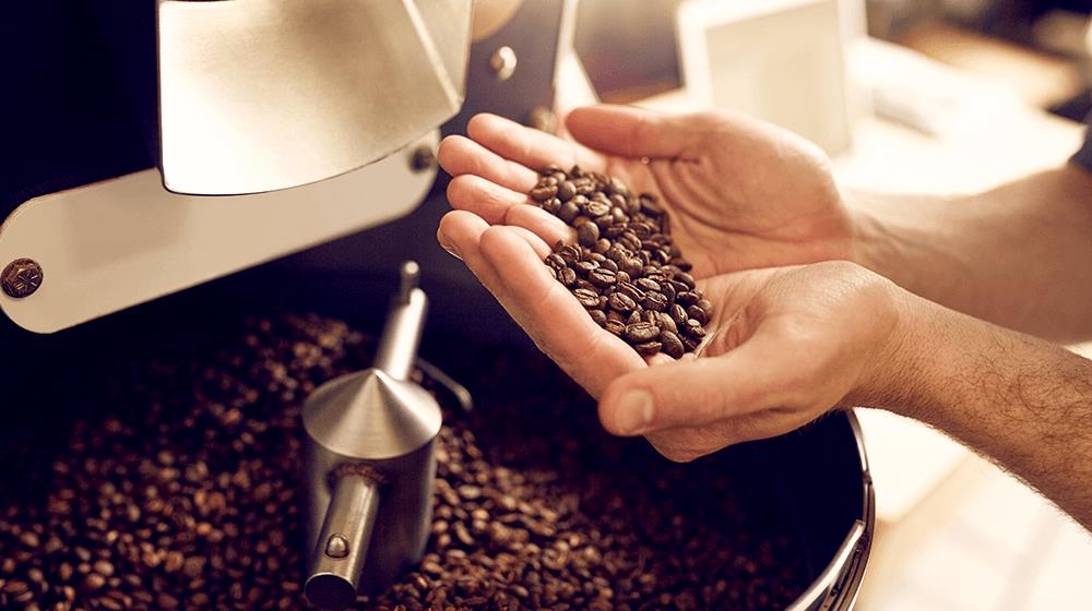 how to start a coffee roasting business