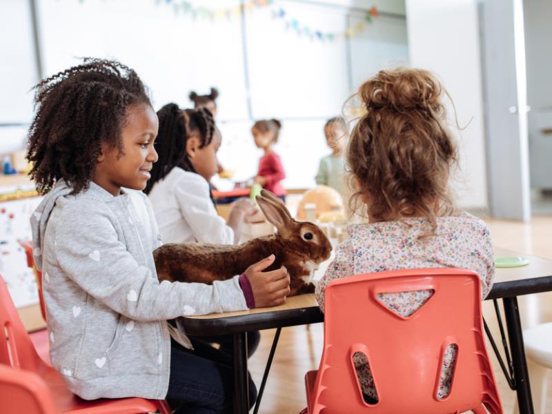 Daycare Business