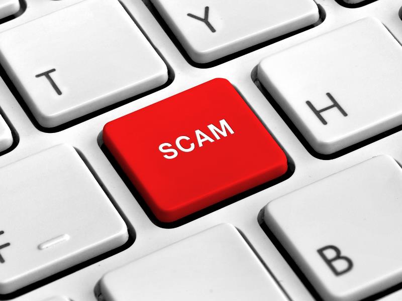 PayPal scam