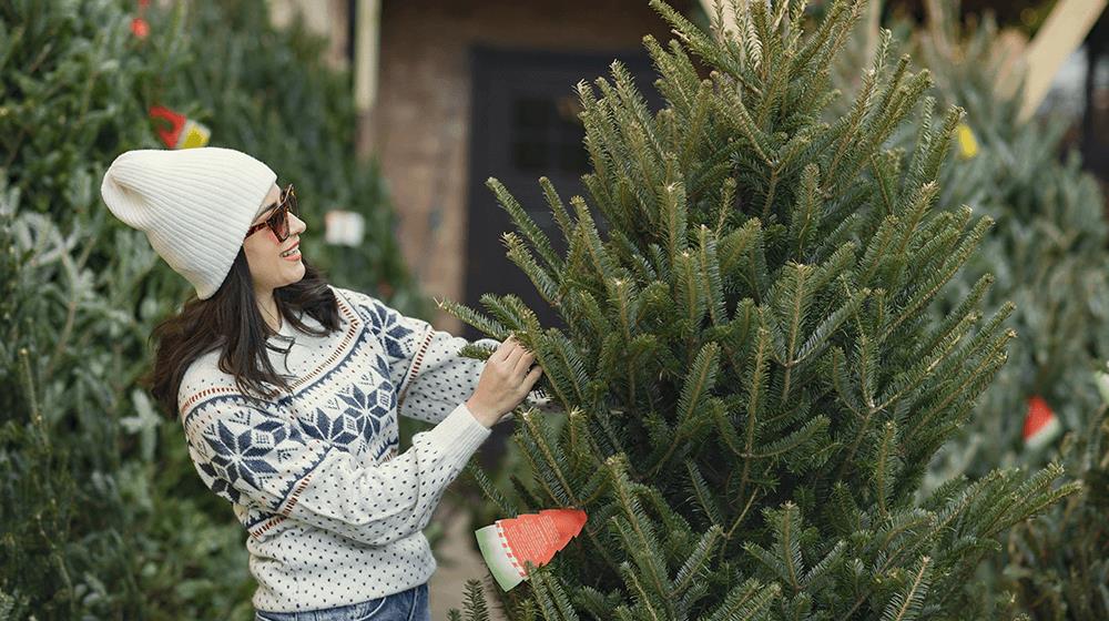  Christmas business ideas