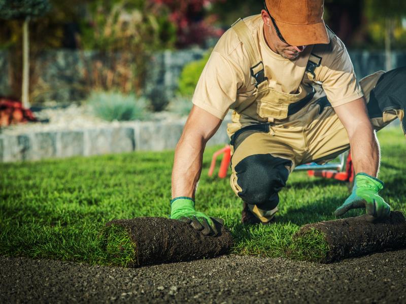 Landscaping Business
