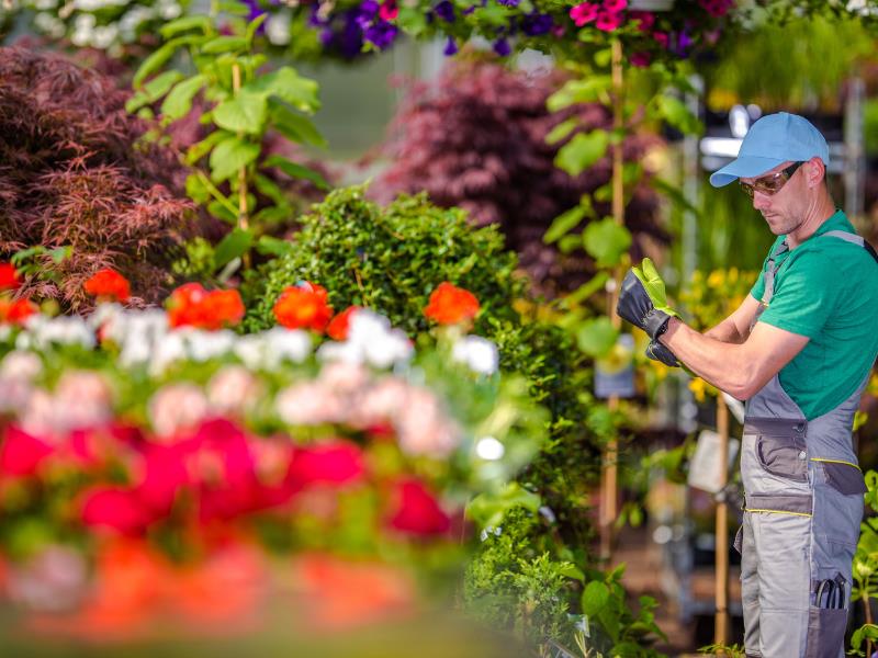 Landscaping Business
