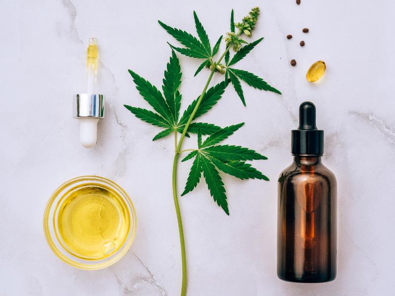 Small Business Ideas in the Growing Cannabis Industry