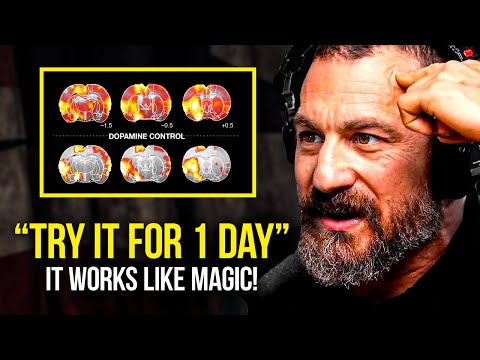 NEUROSCIENTIST: You Will NEVER Lack Focus Again! | Andrew Huberman