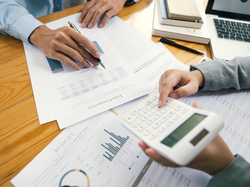 legal structure difference llc llp
