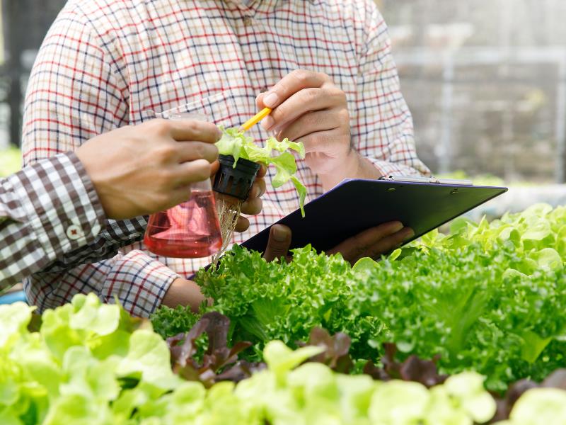 Plant Nursery