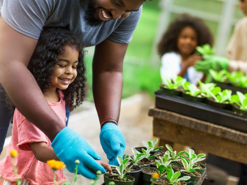 Plant Nursery