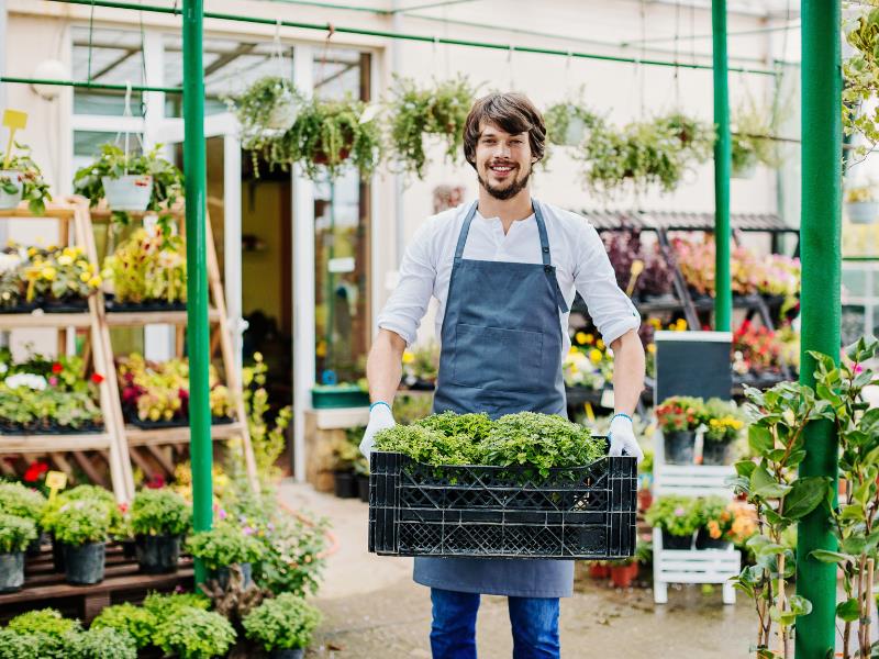 Plant Nursery
