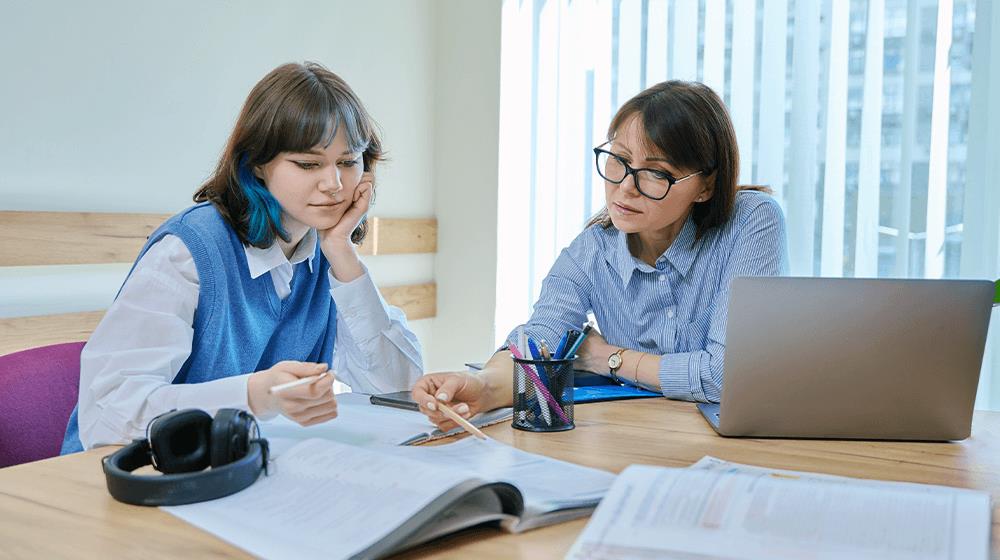 paraprofessional job description
