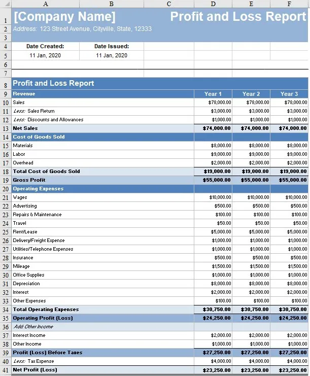What is a Profit and Loss Statement?