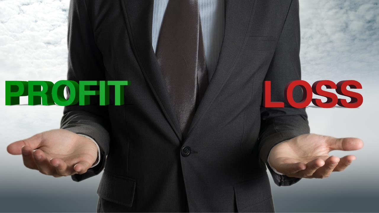 what is a profit and loss statement