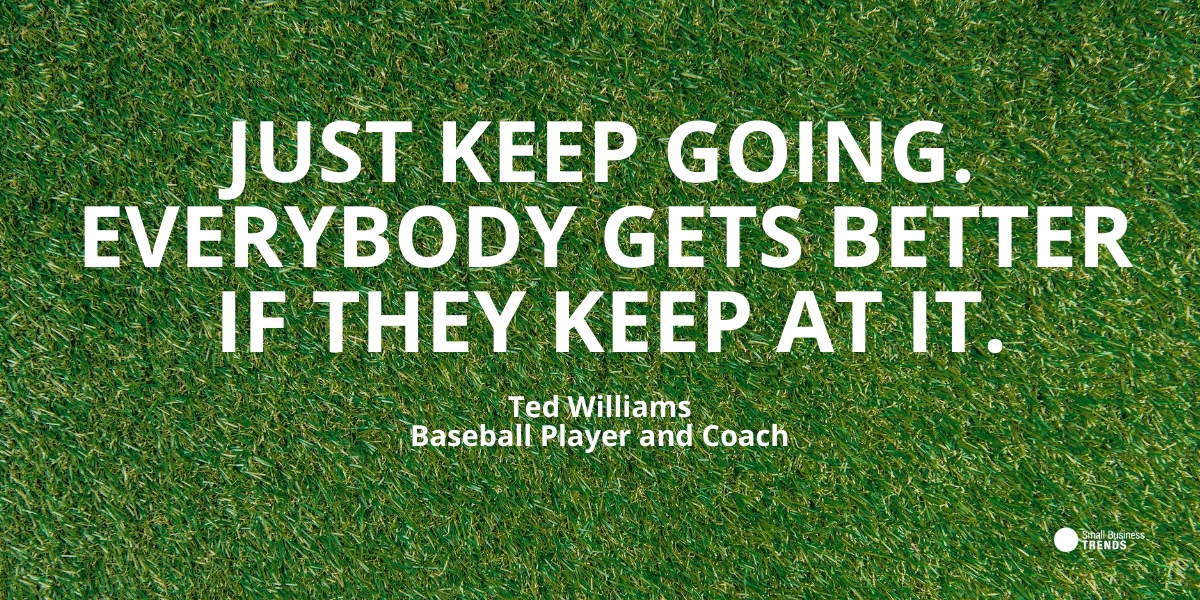 ted williams baseball