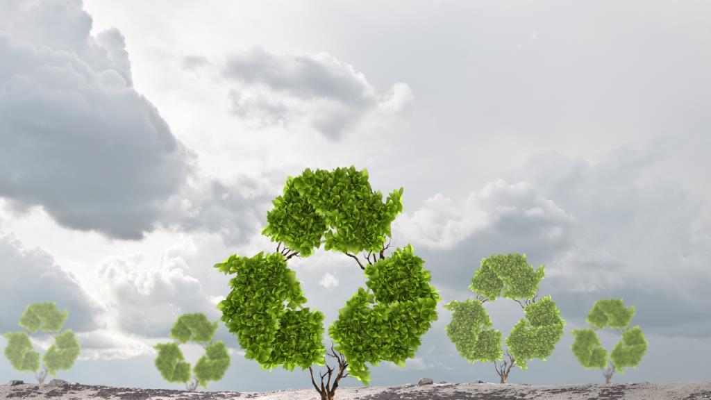 why recycle 