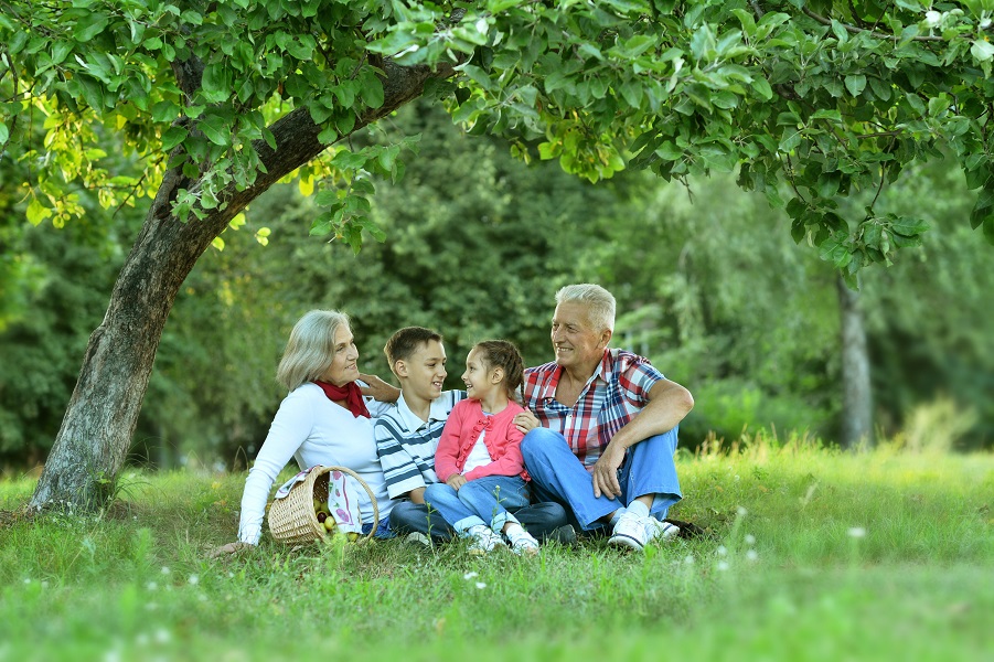 Grandparents influence