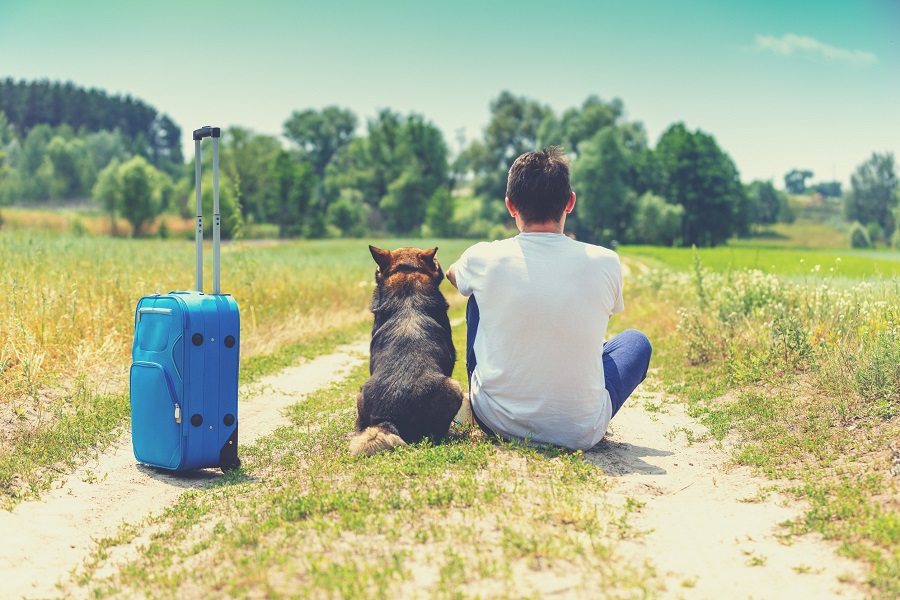 Traveling with Pets: 8 Tips for Stress-Free Journeys with Your Furry Friends