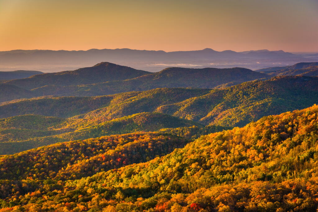 North Carolina