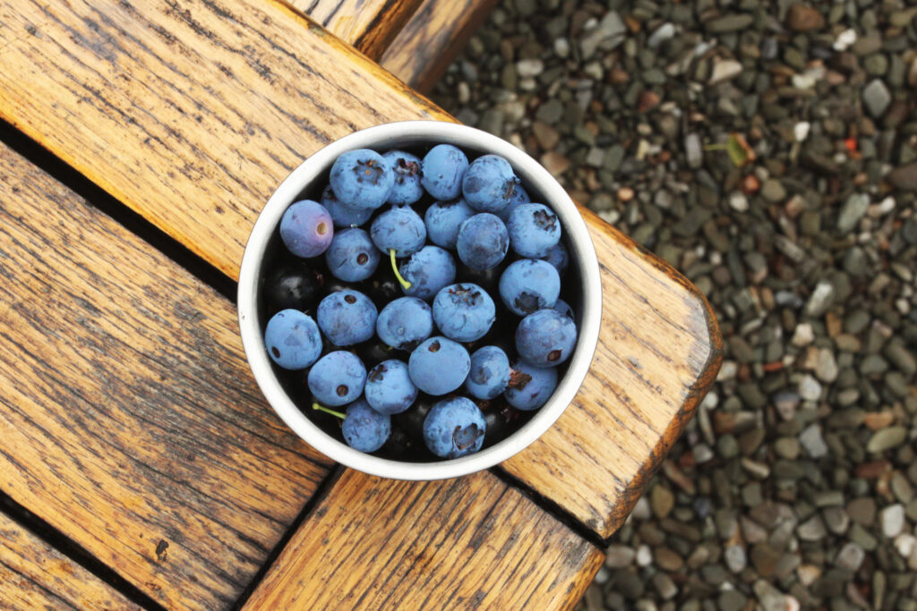 blueberries 
