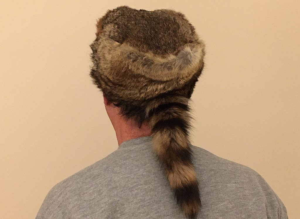 coonskin cap