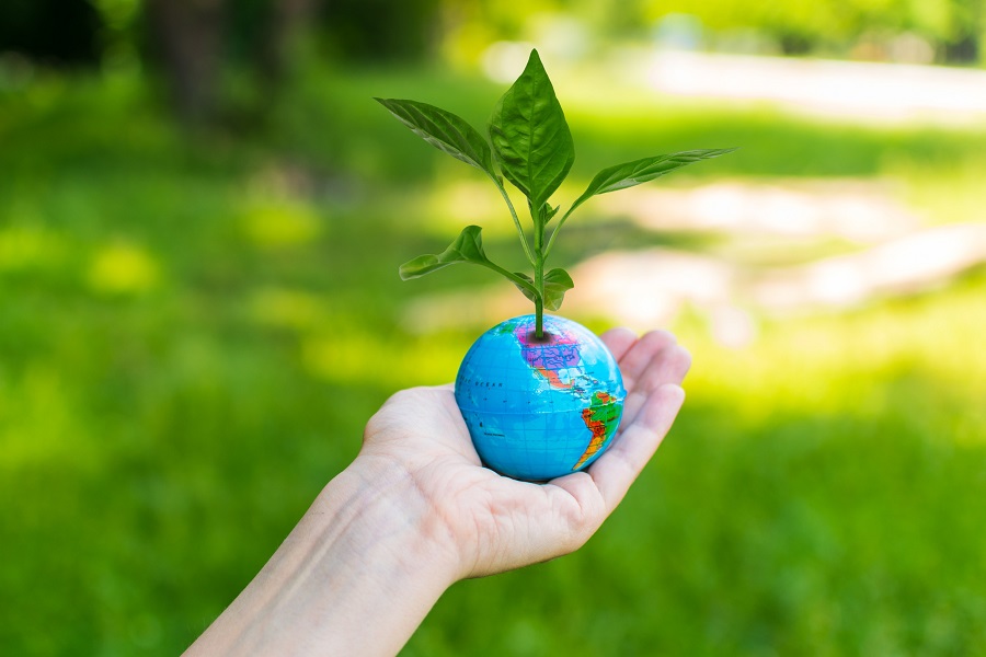 sustainable travel tips