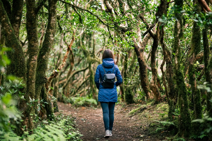 Eco-Friendly Escapes: 10 Sustainable Travel Tips for Responsible Explorers