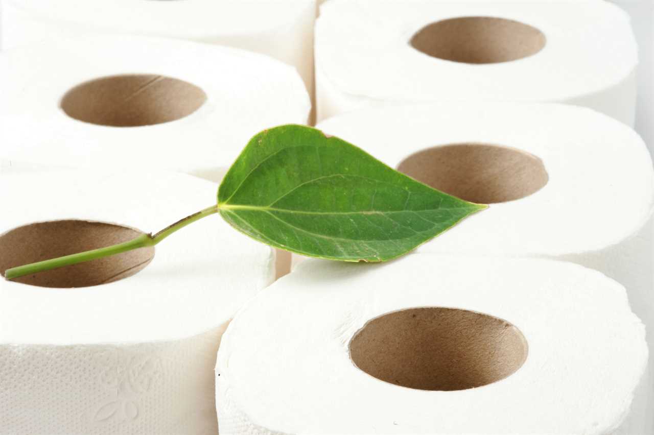 eco-friendly toilet paper